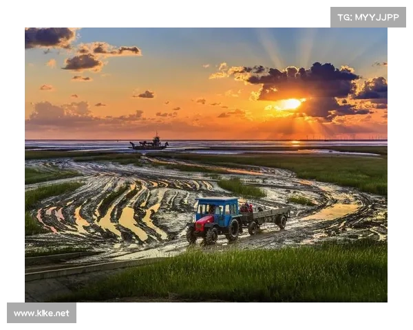 从殖民历史到全球文化交融:探索世界多元发展的足迹与影响 从殖民历史到全球文化交融:探索世界多元发展的足迹与影响